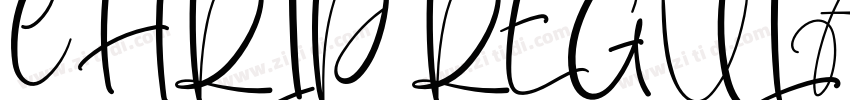 CHRIP REGULAR字体转换